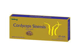 cordyceps synesis